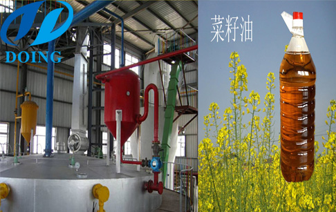 油脂浸出法和壓榨有何區(qū)別？