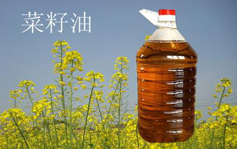 菜籽油