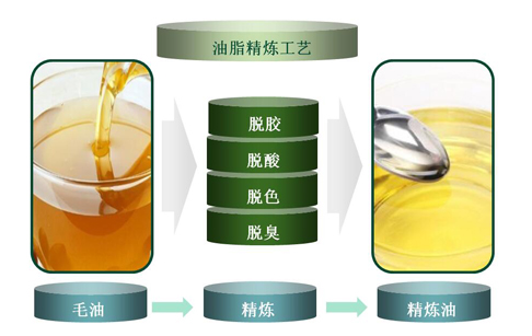 植物油精煉設(shè)備