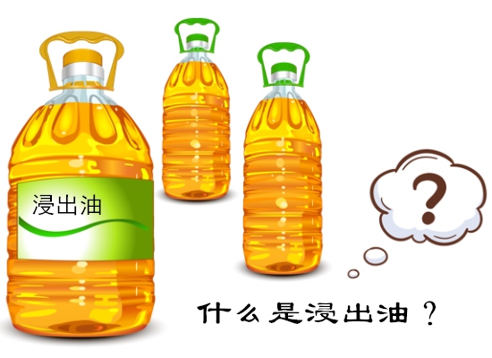 什么是浸出油？