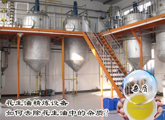 花生油精煉設備如何去除花生油中的雜質(zhì)?