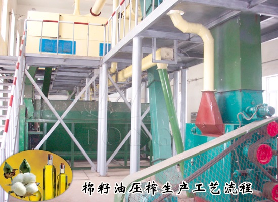 棉籽油壓榨生產(chǎn)工藝流程是什么？需要哪些棉籽油加工設(shè)備？