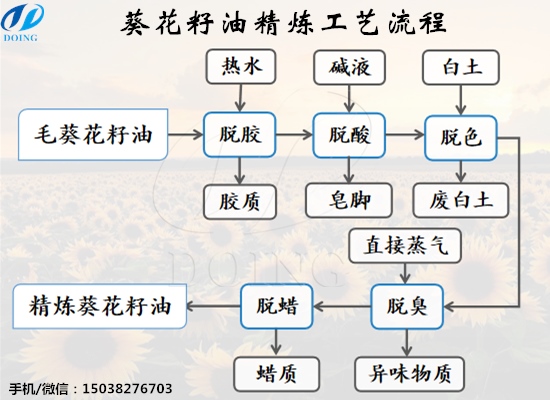 怎么精煉葵花籽油？葵花籽油精煉工藝流程是什么？