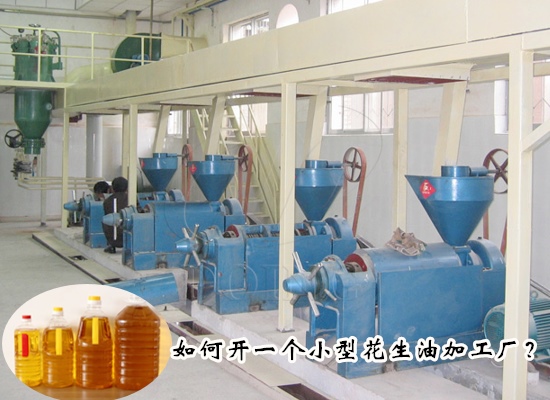 如何開一個(gè)小型花生油加工廠？需要注意哪些事項(xiàng)？