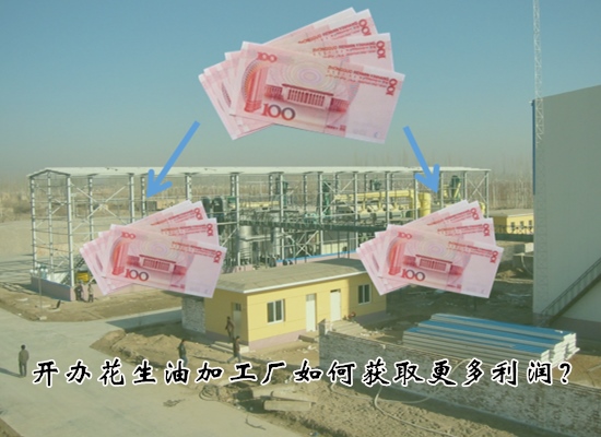 投資開辦花生油加工廠如何獲取更多利潤？具體措施有哪些？