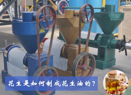 花生是如何制成花生油的？花生油生產(chǎn)制作工藝有幾種？