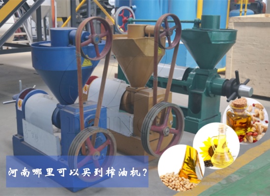 河南哪里可以買到榨油機(jī)？