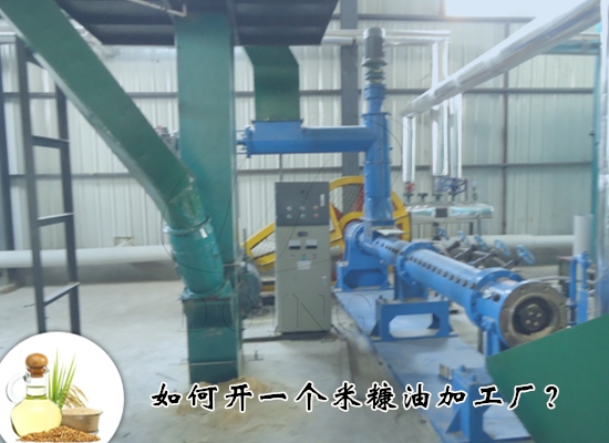 如何開一個(gè)米糠油加工廠？需要做什么準(zhǔn)備？