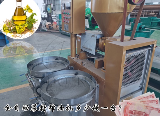 全自動菜籽榨油機(jī)多少錢一臺？