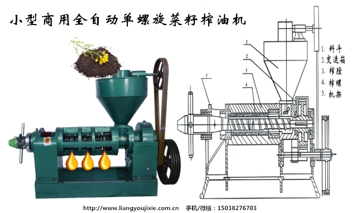 菜籽榨油機