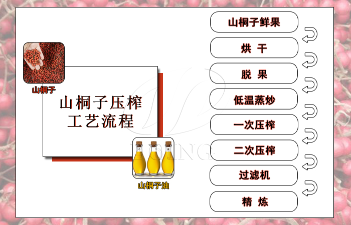 山桐子榨油
