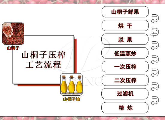 毛葉山桐子怎么榨油？需要注意什么？