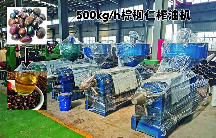 棕櫚仁榨油機