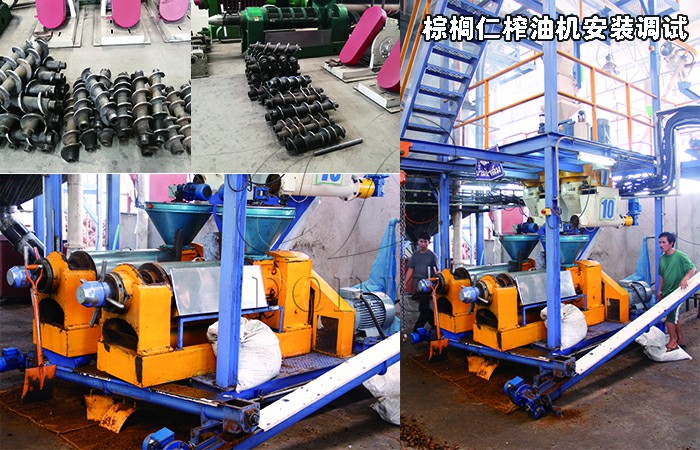 棕櫚仁榨油機