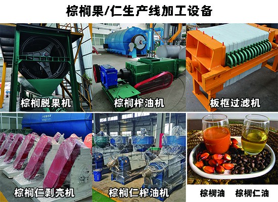 喜報(bào)：加納客戶2t/h棕櫚果+棕櫚仁榨油生產(chǎn)線已正式投產(chǎn)運(yùn)營(yíng)！