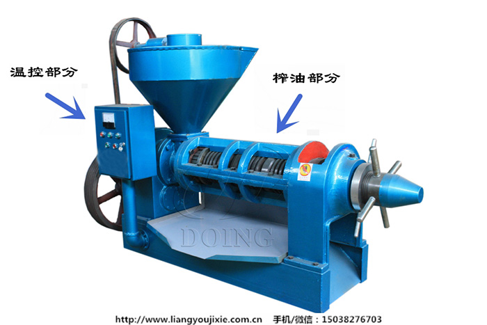 自動溫控榨油機(jī)