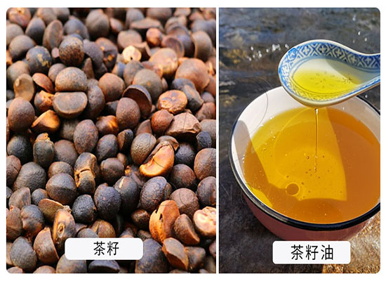 簽單篇：浙江客戶在國瑞油脂下單購買一臺自動溫控榨油機(jī)