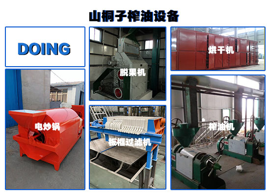 投資山桐子油加工廠需要多少錢？