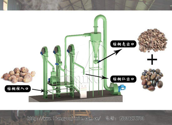喜報！加拿大客戶從國瑞購買一套棕櫚仁殼分離設備