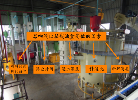 影響浸出粕殘油量高低的因素有哪些？