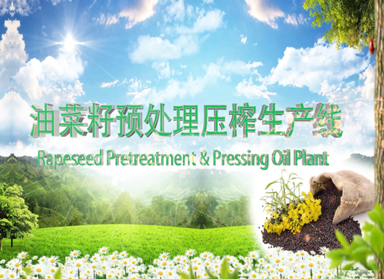 菜籽油預(yù)處理壓榨生產(chǎn)線運(yùn)行視頻