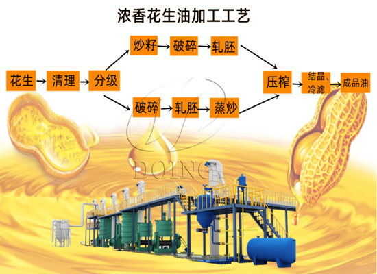 濃香花生油是什么意思？濃香型花生油加工工藝是怎樣的？