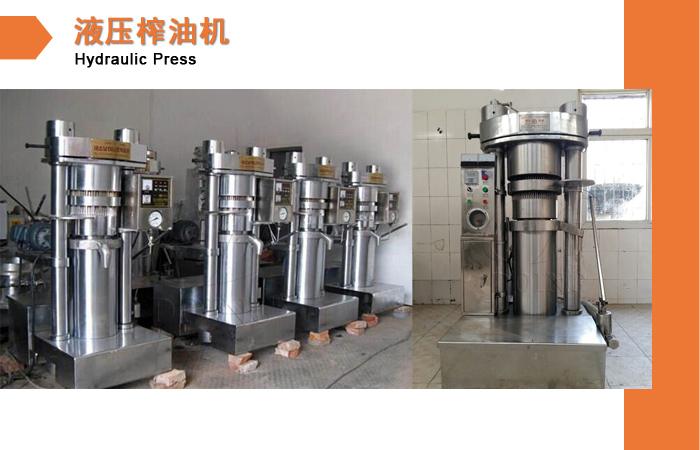 核桃油液壓榨油機(jī).jpg