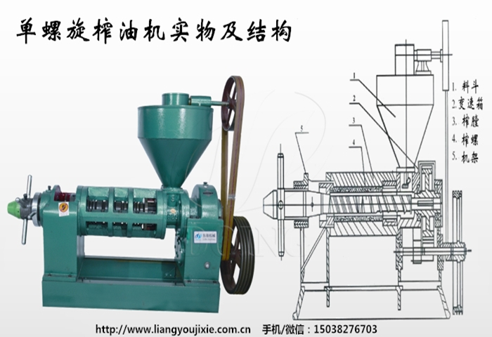 單螺旋榨油機(jī)