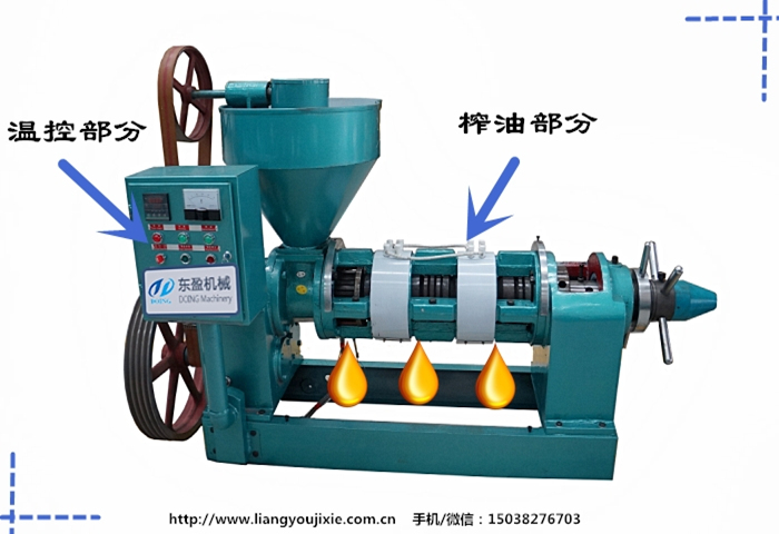 自動(dòng)溫控榨油機(jī)