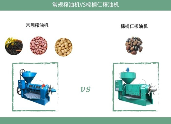 常規(guī)榨油機(jī)可以榨棕櫚仁嗎？