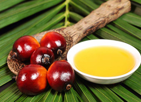 馬來(lái)西亞表示將逐步提高棕櫚油生物柴油的強(qiáng)制摻混要求