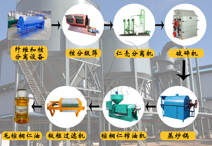 如何投資建棕櫚仁油加工廠?投資棕櫚仁油加工生意需要做這些工作！