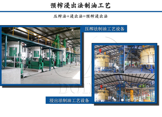 食用油怎么加工品質(zhì)更好?四個(gè)關(guān)鍵因素告訴你答案
