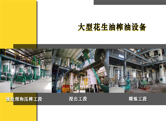 從無(wú)到有,建立一個(gè)花生油加工廠需要多少時(shí)間?