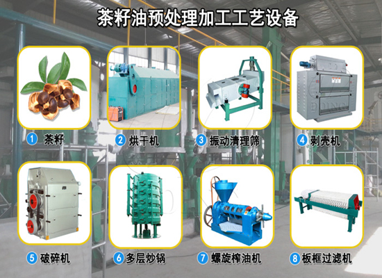 加工茶籽油,為什么需要對(duì)茶籽進(jìn)行烘干處理?