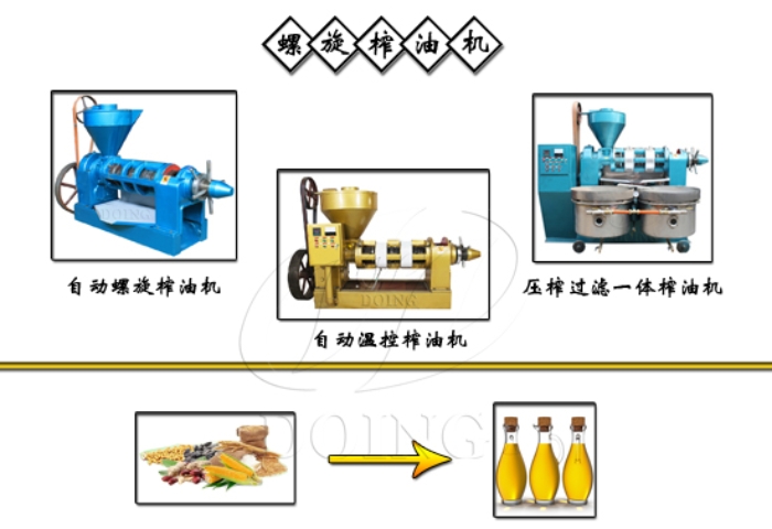 全自動小型螺旋榨油機.jpg