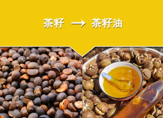 山茶籽油加工生產線的價格與哪些因素有關?