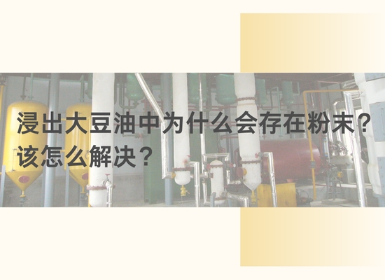 浸出大豆油中為什么會存在粉末？該怎么解決？