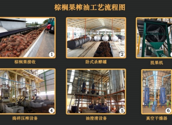 棕櫚油壓榨設(shè)備怎么選：從單臺(tái)設(shè)備到全自動(dòng)產(chǎn)線，一文讀懂6種常見棕櫚油壓榨生產(chǎn)線！