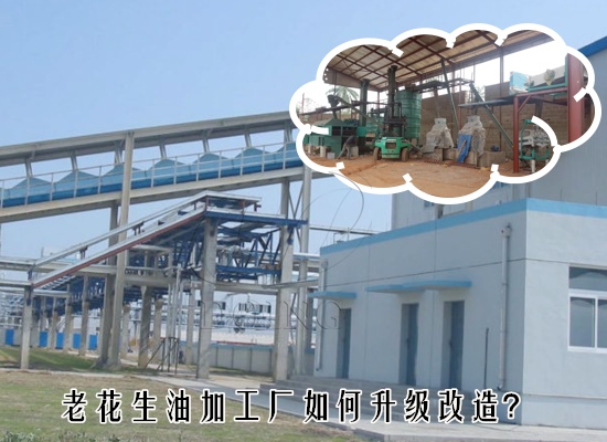 老花生油加工廠如何升級(jí)改造？