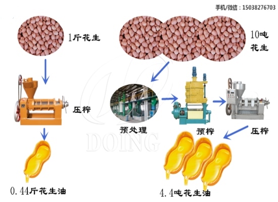 1斤花生可以榨出多少花生油？