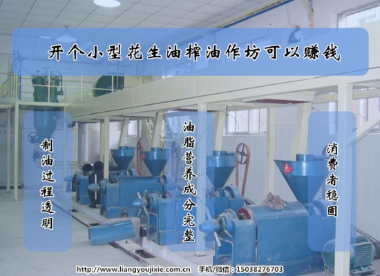 開個(gè)小型花生油榨油作坊賺錢嗎？利潤(rùn)怎么樣？