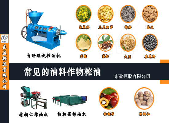 常見的油料作物有哪些？怎么榨油？