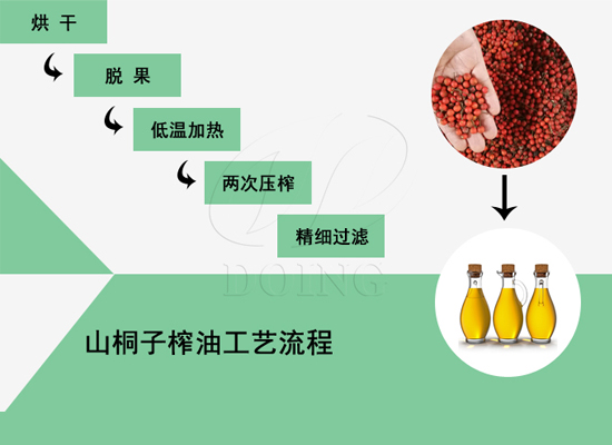 你知道嗎？山桐子竟然也可以榨油，快來點(diǎn)擊了解！