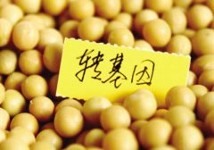 “致癌說(shuō)”引爆食用油市場(chǎng)變局